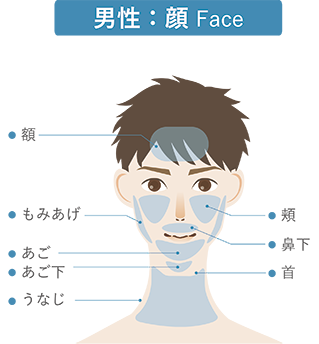 男性：顔 Face